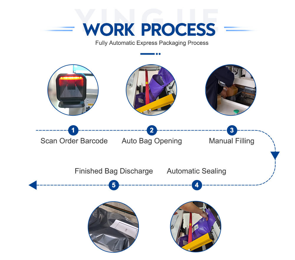 Power Punch High-accuracy Fully Automatic Smart High Speed 1500 Bags/hour Poly Mailer Angle 4