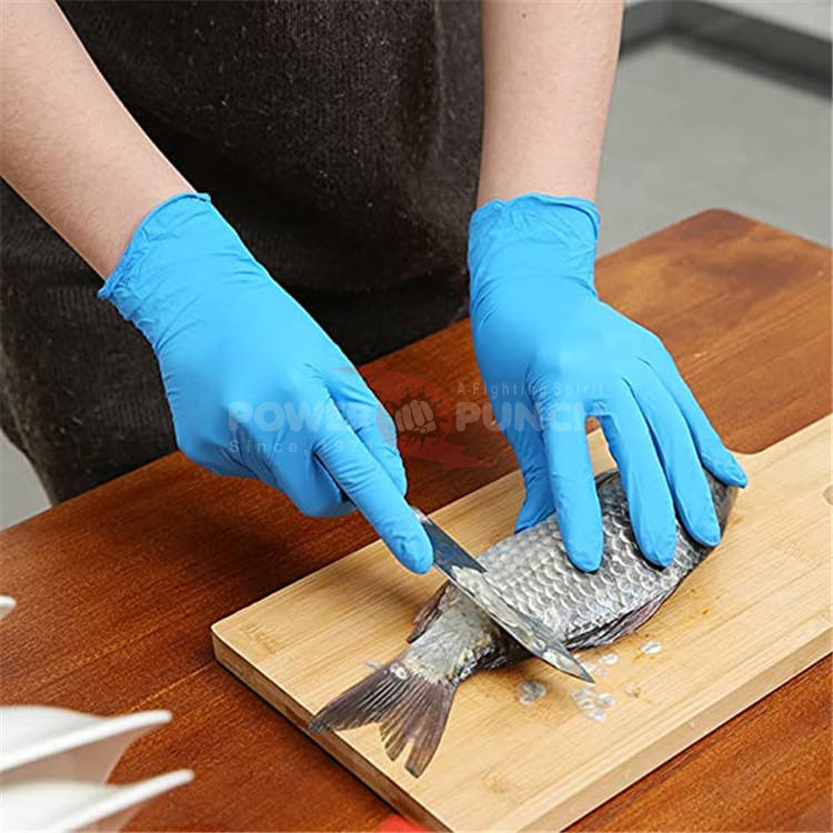 Power Punch Wholesale 100 Gloves/Each Inner Box Powder Free Latex Free Blue Angle 5