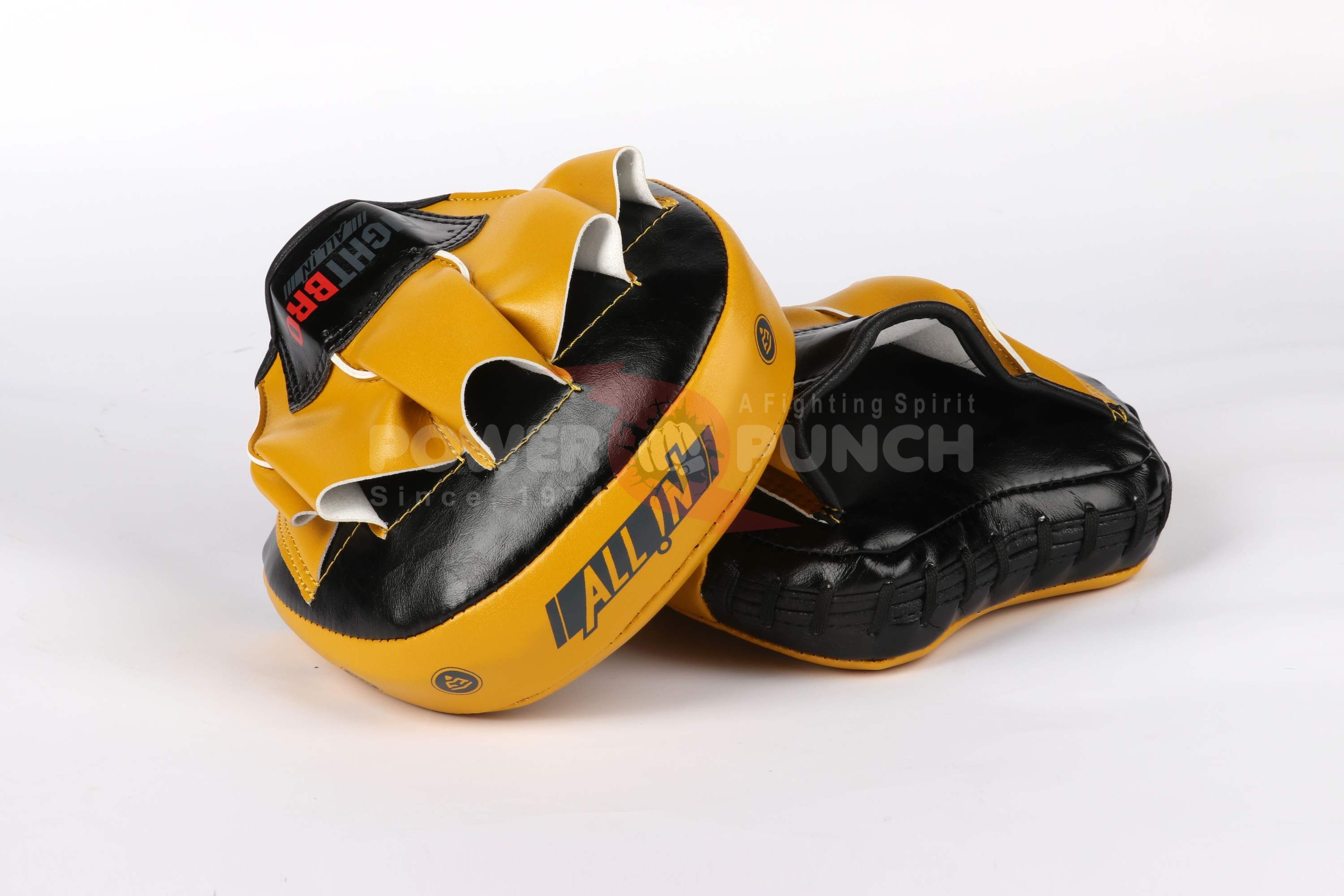 Power Punch Boxing Pads Curved Focus Mitts Adjustable MMA Muay Thai Kickboxing Angle 2